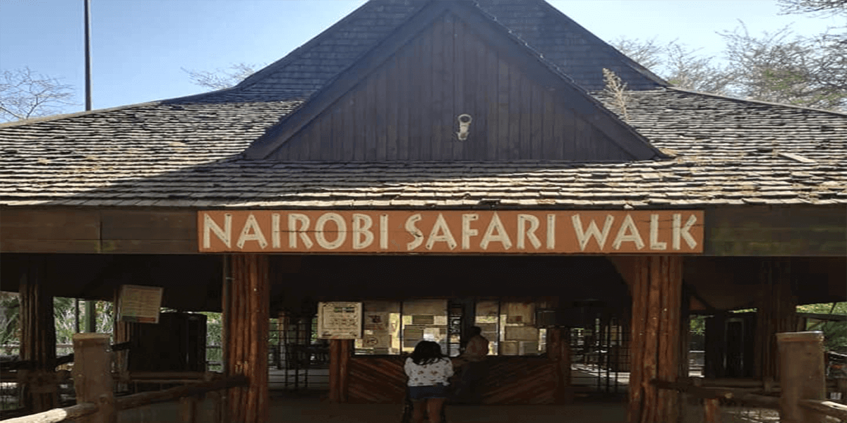 Nairobi safari walk tour