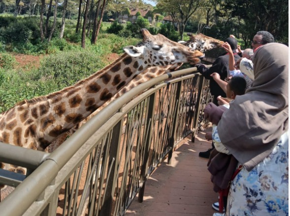 places to visit in Nairobi