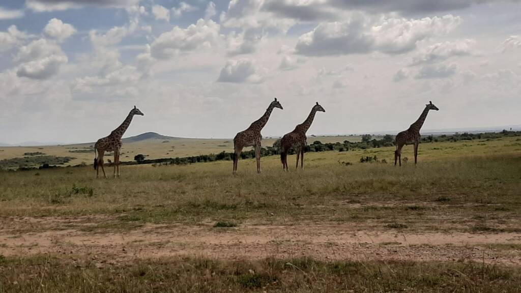 places to visit in Kenya